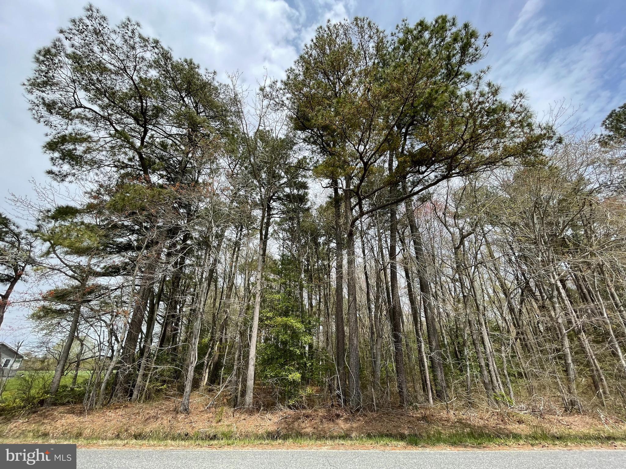 Cedartown Road Snow Hill, MD 21863 - Photo 1 of 5 Street view of the lot