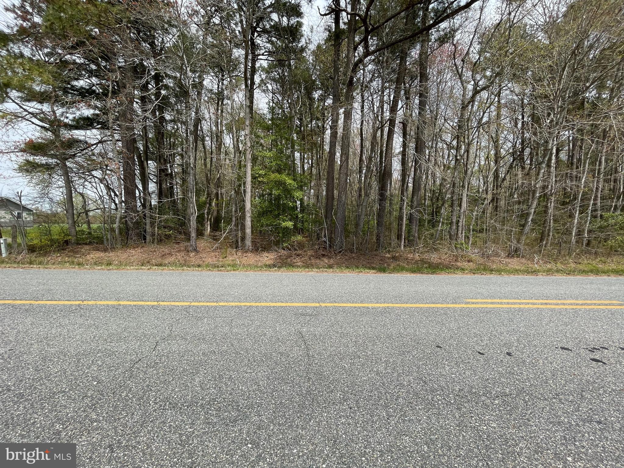Cedartown Road Snow Hill, MD 21863 - Photo 2 of 5 Street view of the lot