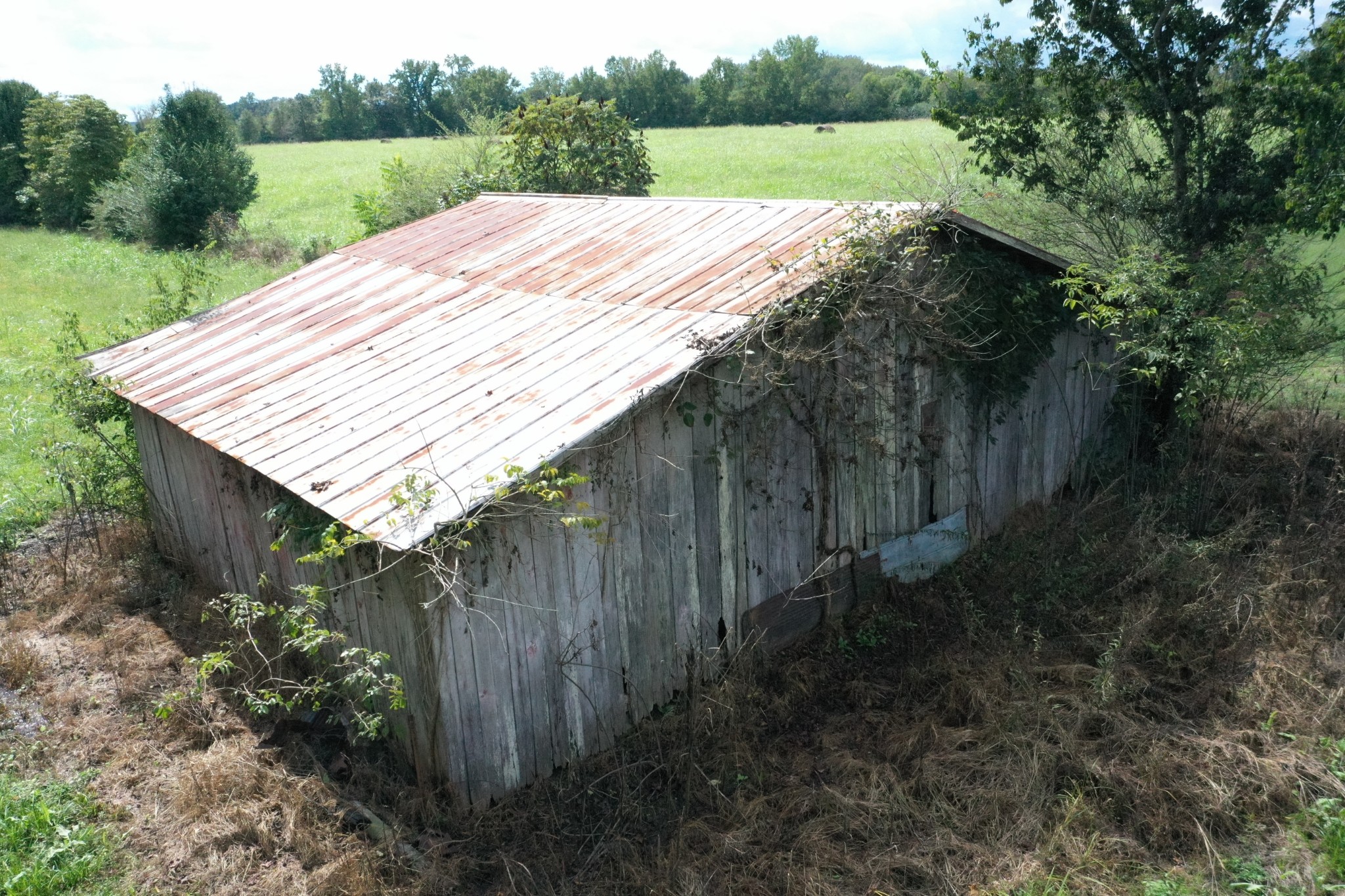 0 Dunn Road Leoma, TN 38468 - Photo 2 of 16 a view of a wooden deck and a backyard