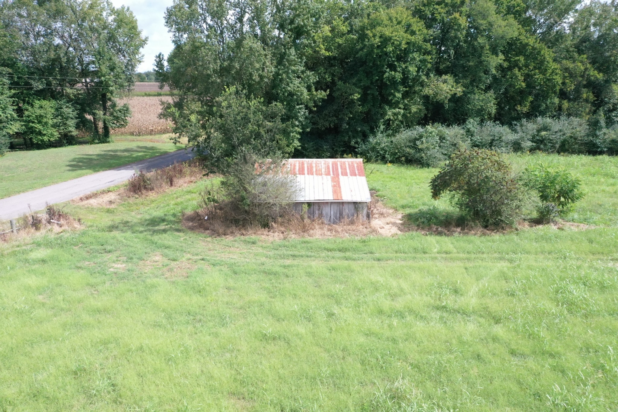0 Dunn Road Leoma, TN 38468 - Photo 15 of 16 a backyard of a house with lots of green space