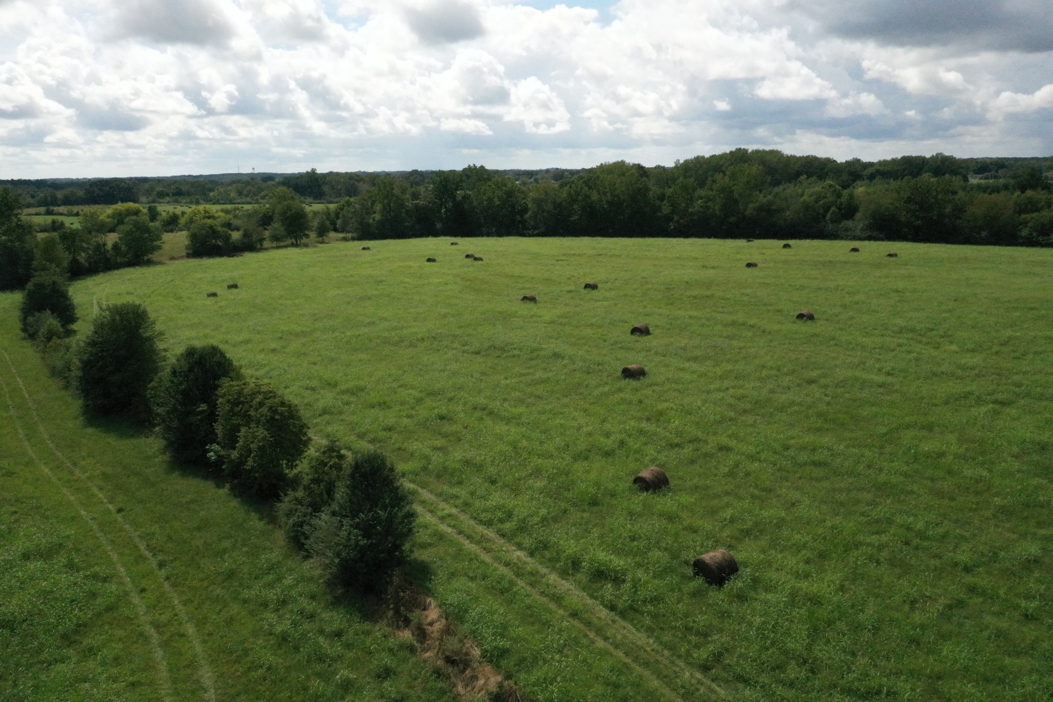 0 Dunn Road Leoma, TN 38468 - Photo 9 of 16 a view of an outdoor space and a yard