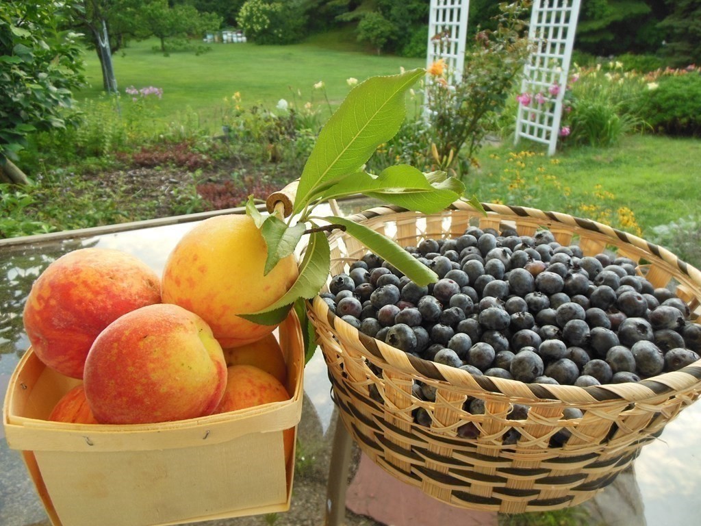 247 Littleton County Road Harvard, MA 01451 - Photo 11 of 41