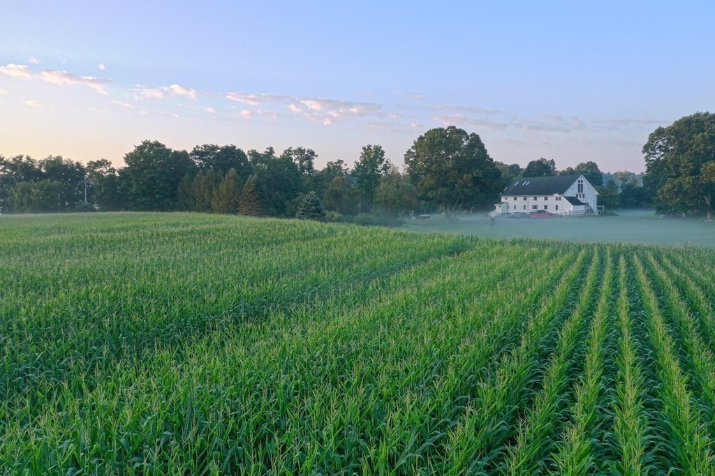 247 Littleton County Road Harvard, MA 01451 - Photo 13 of 41