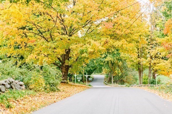 247 Littleton County Road Harvard, MA 01451 - Photo 34 of 41