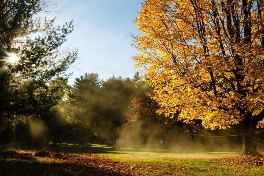 247 Littleton County Road Harvard, MA 01451 - Photo 36 of 41