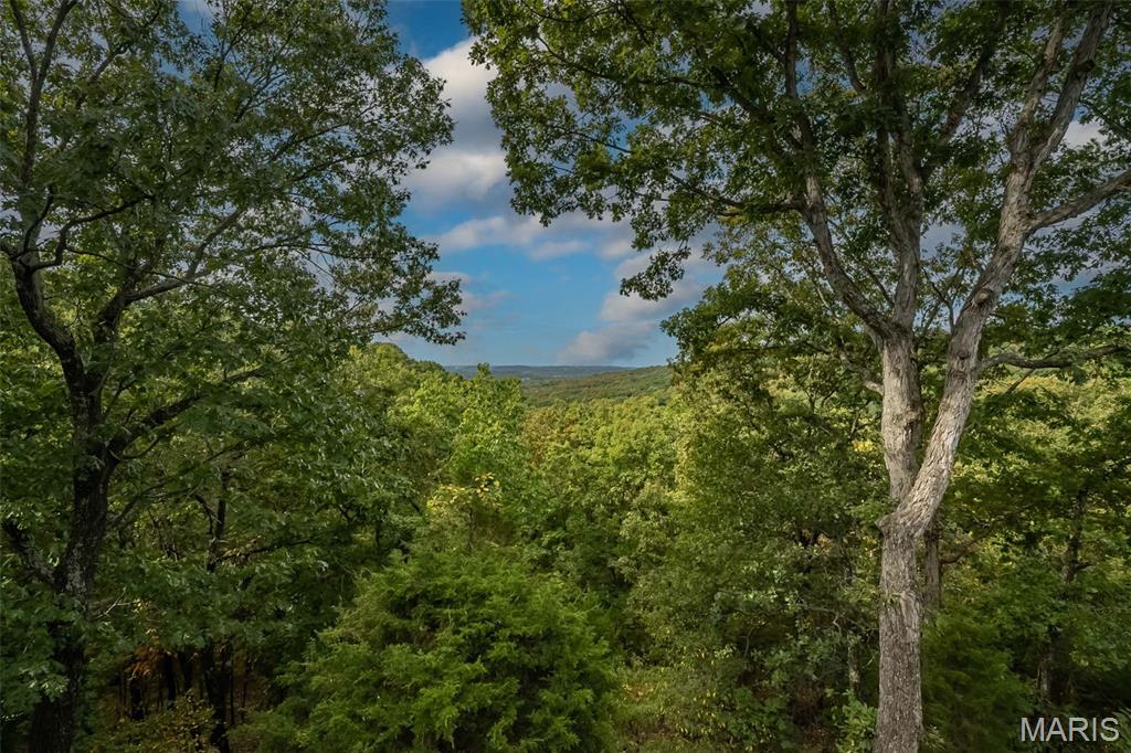 1553 Ridge Road Wildwood, MO 63021 - Photo 53 of 68