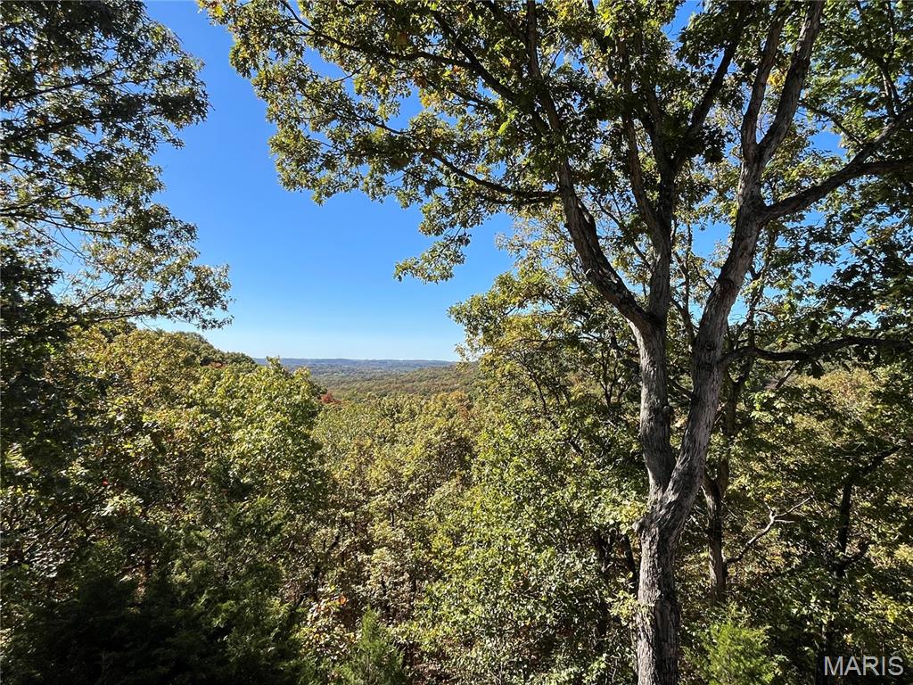 1553 Ridge Road Wildwood, MO 63021 - Photo 67 of 68