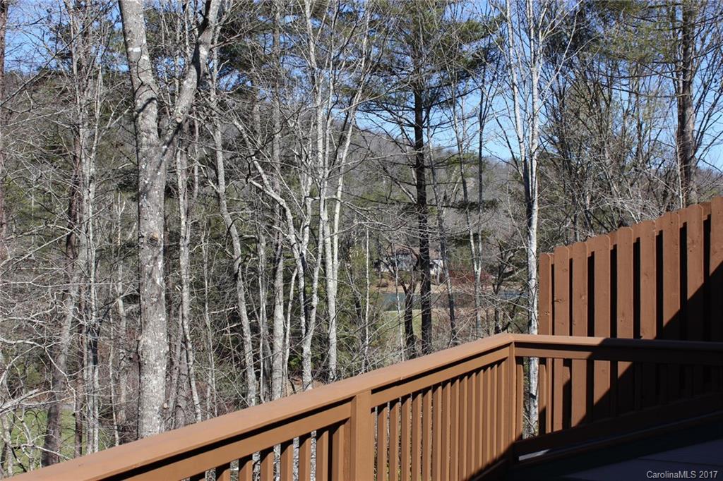99 Ridgetop Circle, Unit 302 Brevard, NC 28712 - Photo 21 of 21 Gallery Image 21