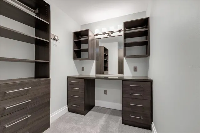 a view of a park with large trees