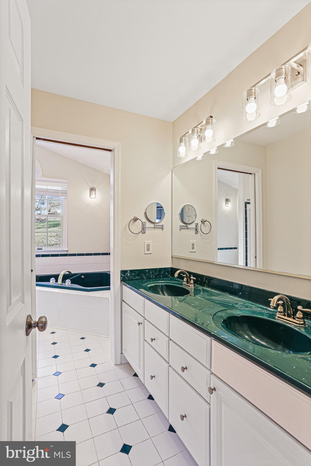 8638 Bali Road Ellicott City, MD 21043 - Photo 16 of 38 Primary Bathroom