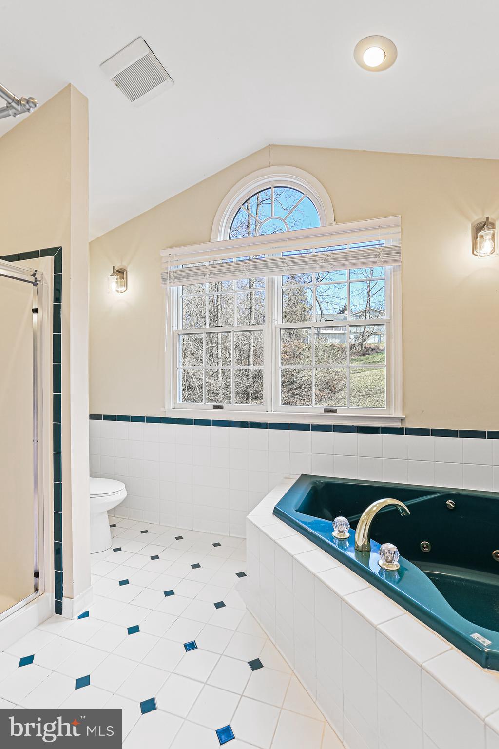 8638 Bali Road Ellicott City, MD 21043 - Photo 17 of 38 Primary Bathroom