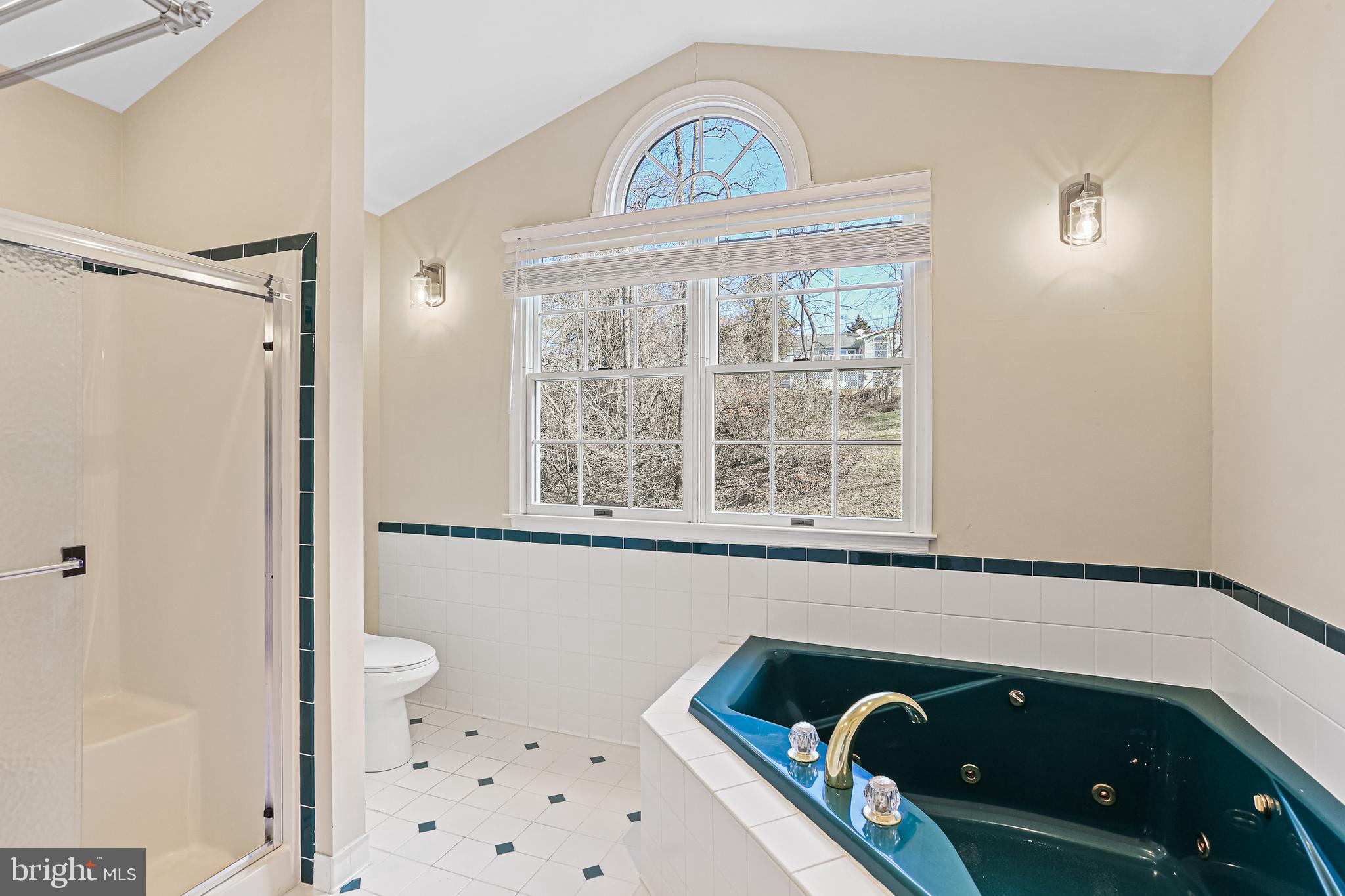 8638 Bali Road Ellicott City, MD 21043 - Photo 18 of 38 Primary Bathroom