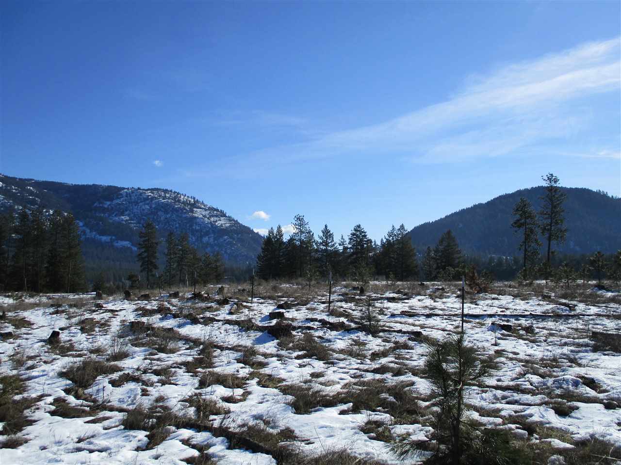 6-xx Gillette Road, Unit LOT 4 Colville, WA 99114 - Photo 3 of 7