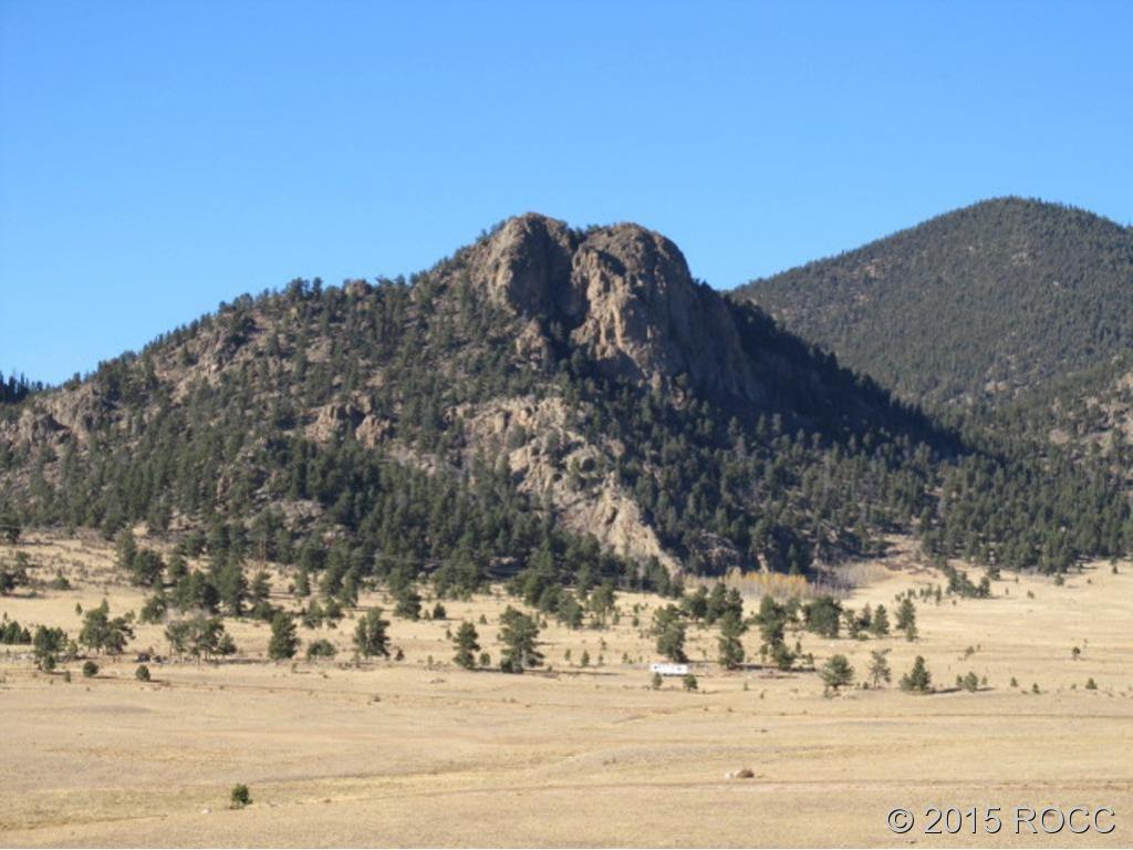 11715 Jackson Road Lake George, CO 80827 - Photo 6 of 8