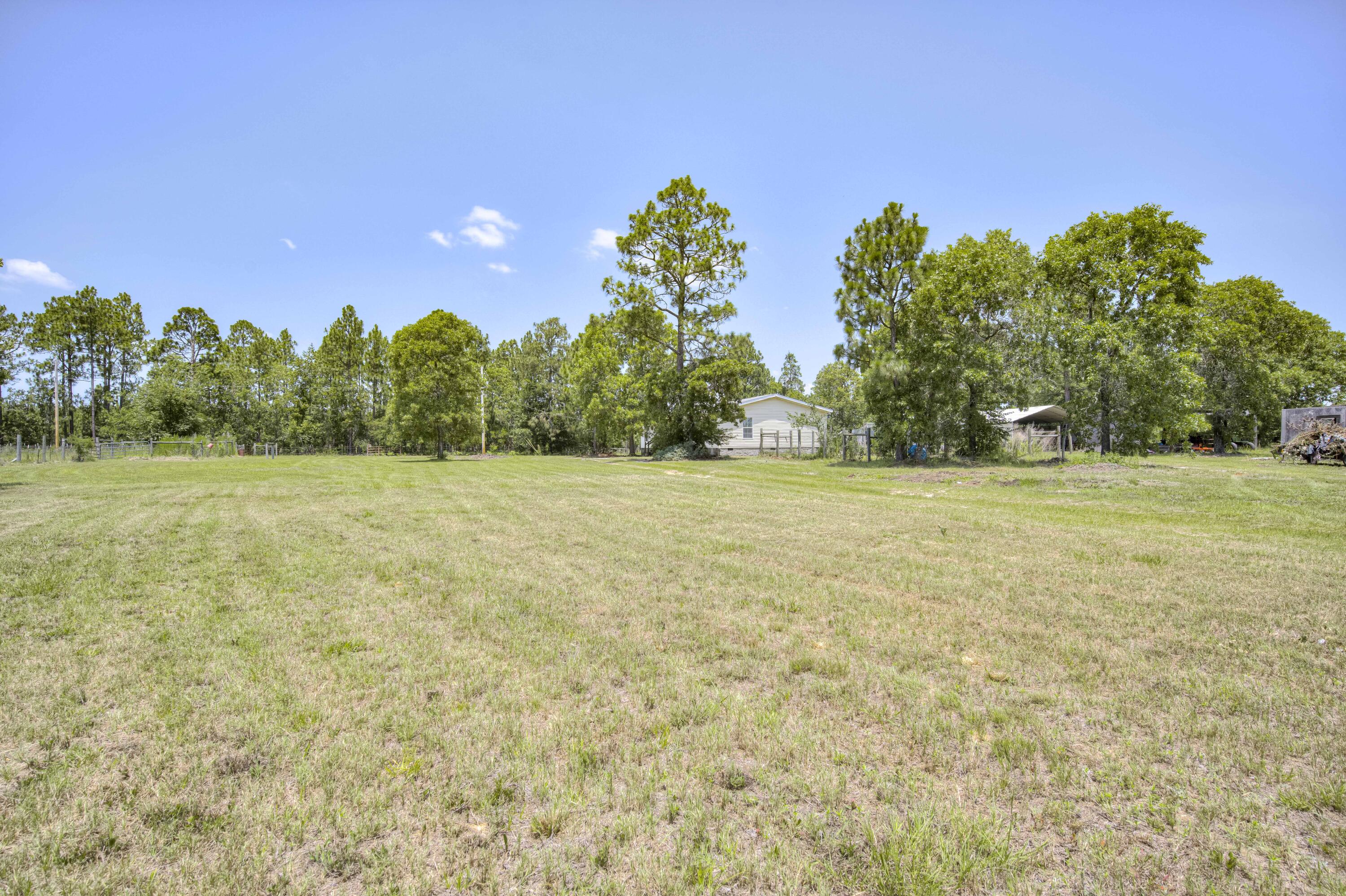 798 Big Branch Road Wagener, SC 29164 - Photo 54 of 63