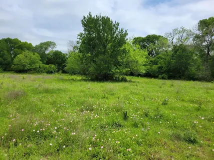 a view of outdoor space with deck and yard