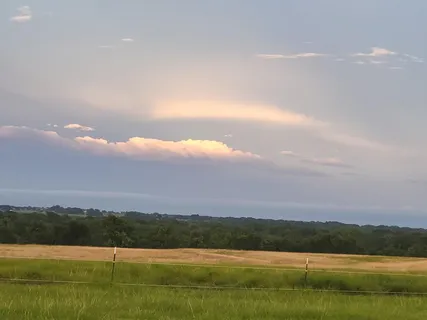 a view of a field of grass and trees