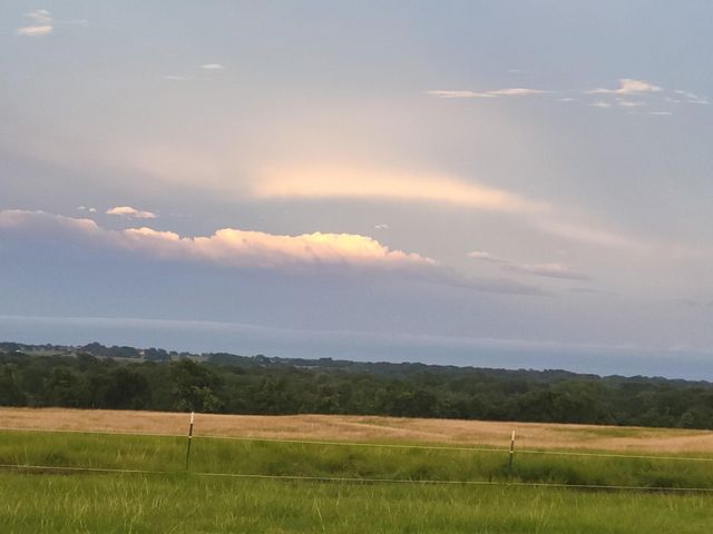 a view of a field of grass and trees
