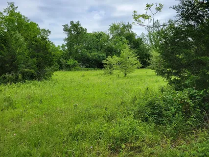 a view of a garden with an outdoor space
