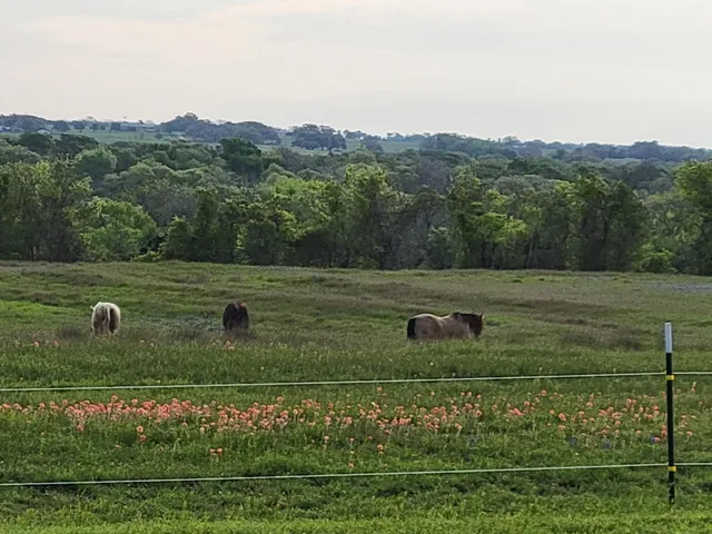a view of a lake with houses in the back