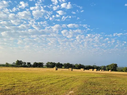a view of a lake with a house in the background