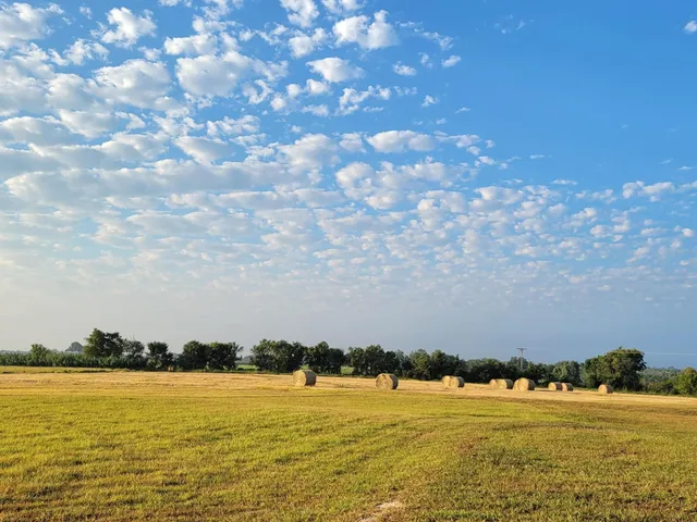 a view of a lake with a house in the background