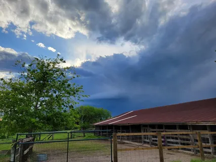 a big yard with lots of green space and fog