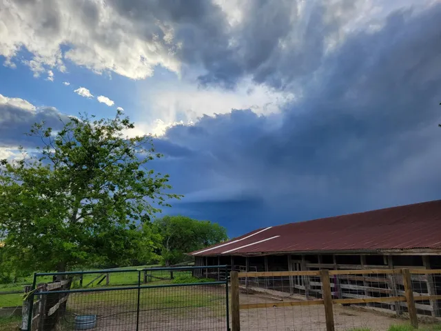 a big yard with lots of green space and fog