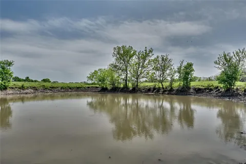 a view of a grassy field with trees