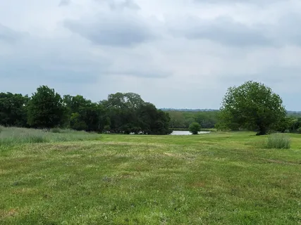 a view of a city with lush green forest