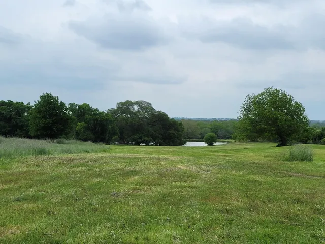 a view of a city with lush green forest