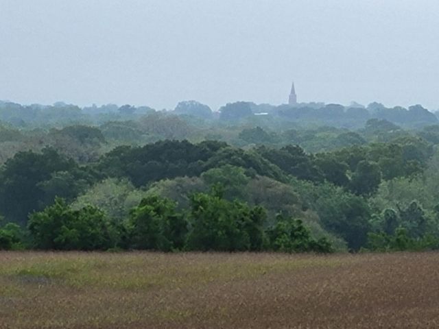 a view of a patio with a yard