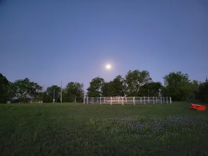 a green field with lots of tress in it