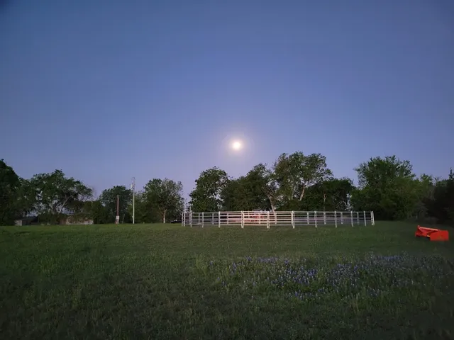 a green field with lots of tress in it