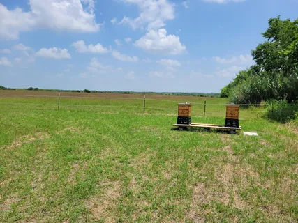 a view of a lush green space