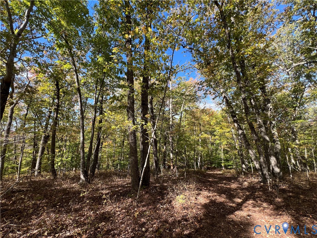 0 Warren Ferry Road Scottsville, VA 24590 - Photo 18 of 33 a view of a yard with large trees