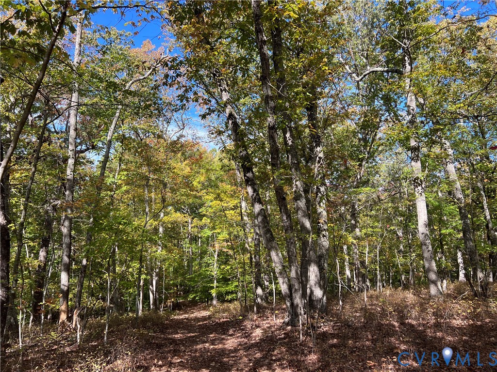 0 Warren Ferry Road Scottsville, VA 24590 - Photo 19 of 33 a view of a tree