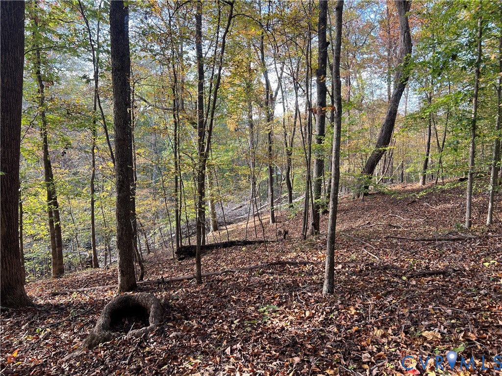 0 Warren Ferry Road Scottsville, VA 24590 - Photo 20 of 33 a backyard of a house with lots of green space