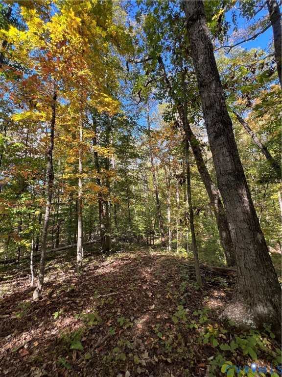 0 Warren Ferry Road Scottsville, VA 24590 - Photo 21 of 33 a view of forest