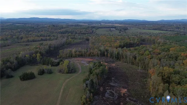 a view of a city with lush green forest