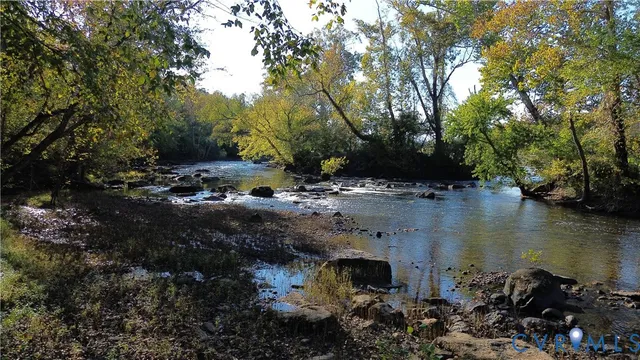 a view of a tree in the middle of a yard