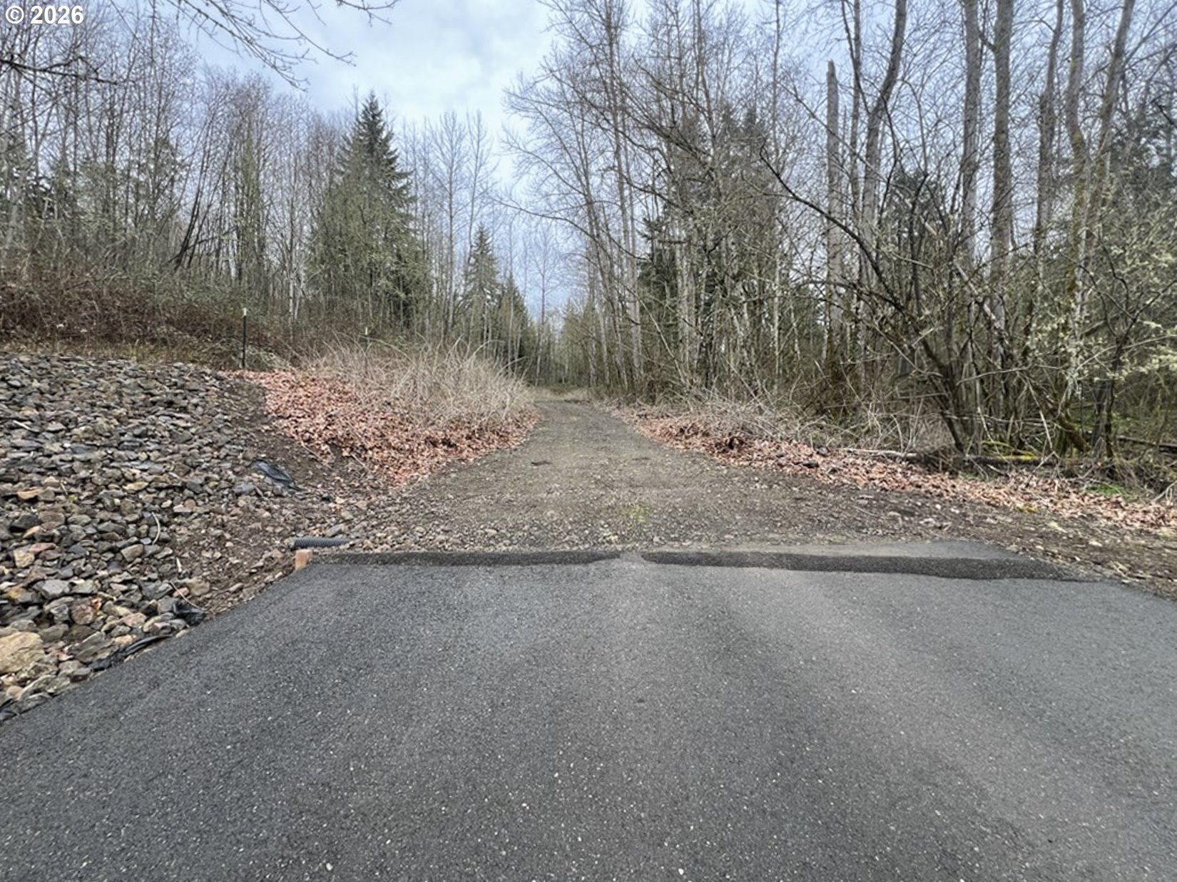 318 Martins Bluff Road Kalama, WA 98625 - Photo 1 of 15 a view of a dry yard with trees