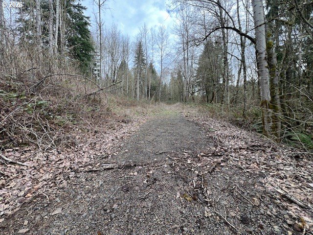 318 Martins Bluff Road Kalama, WA 98625 - Photo 11 of 15 a view of a large yard with lots of green space
