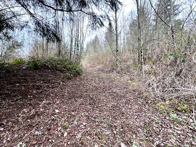 318 Martins Bluff Road Kalama, WA 98625 - Photo 14 of 15 a view of backyard with green space
