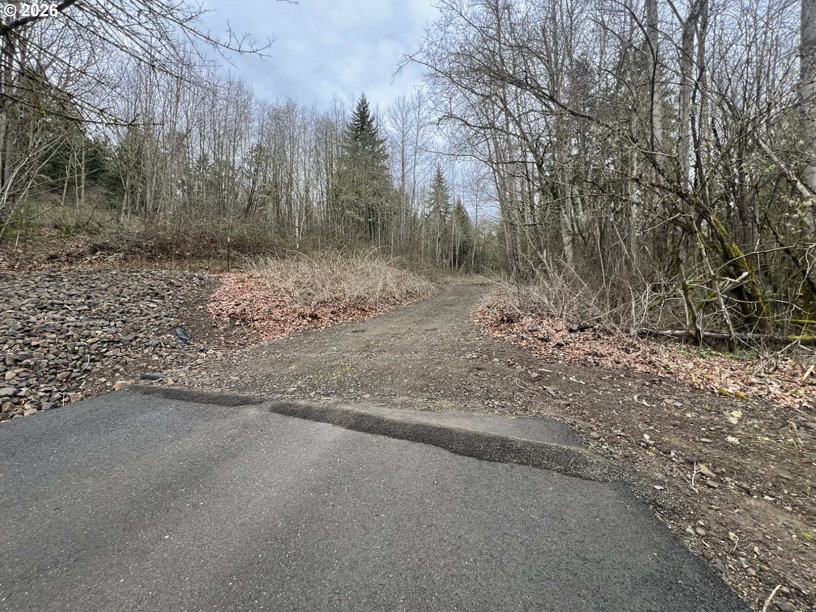 318 Martins Bluff Road Kalama, WA 98625 - Photo 15 of 15 a view of a forest with trees