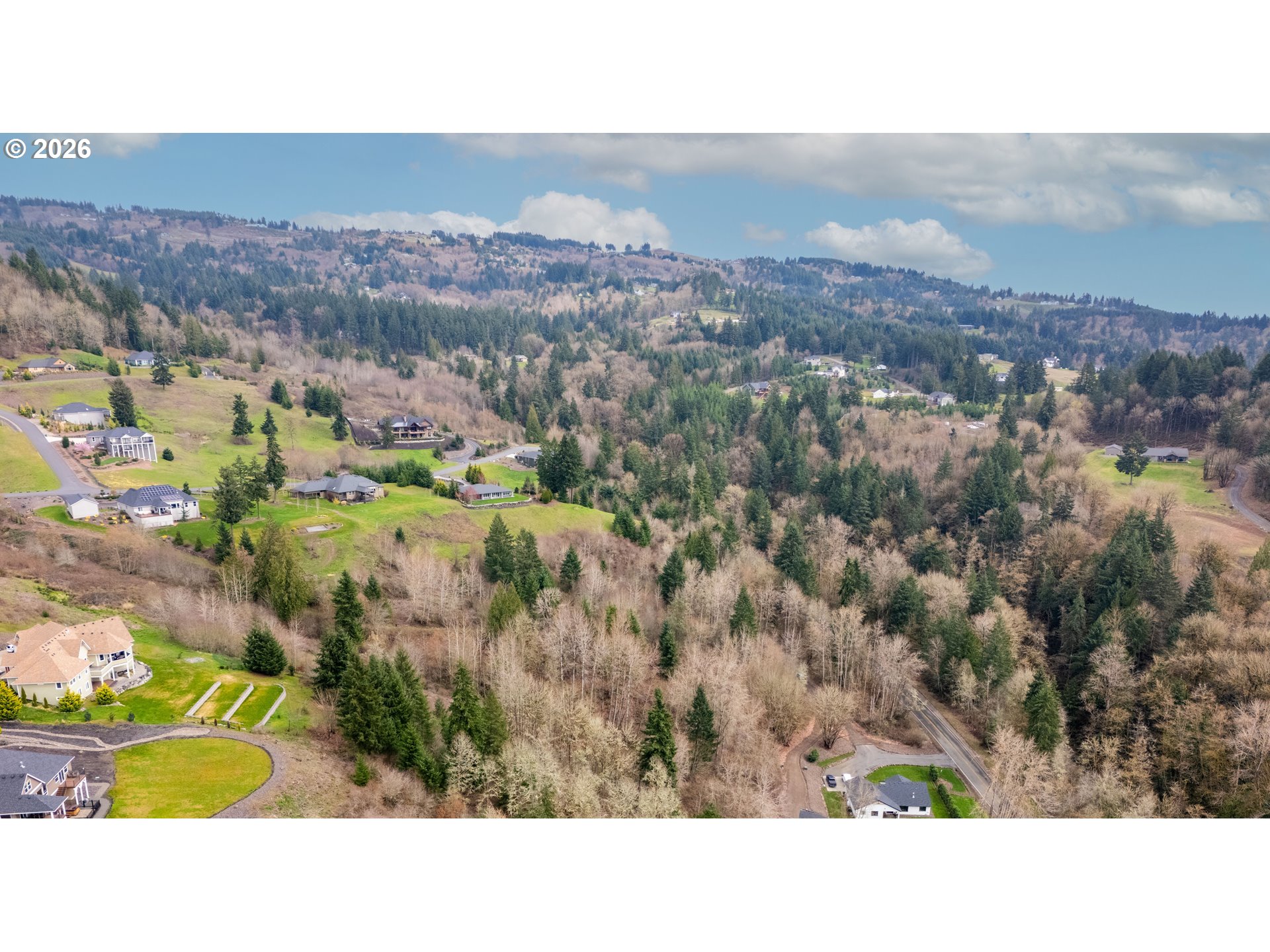 318 Martins Bluff Road Kalama, WA 98625 - Photo 8 of 15 a black and white photo of a mountain