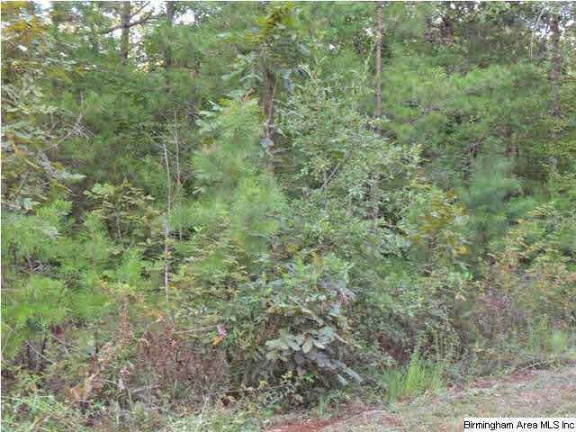 2485 Smokey Road, Unit 4 AC Alabaster, AL 35007 - Photo 3 of 3