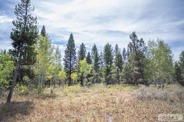 $325,000 | 2819 Northeast Sagehen Drive, Island Park, ID 83429