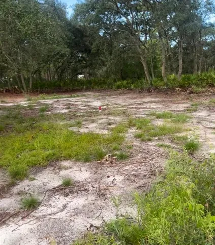 a view of outdoor space with trees