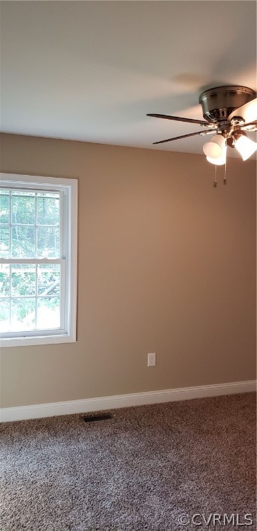 535 Wyatts Mill Road Jarratt, VA 23867 - Photo 19 of 27 Gallery Image 19